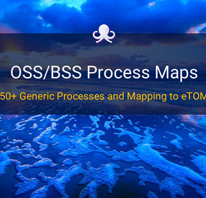OSS/BSS Process Mapping Guide (with 50+ Process Maps)