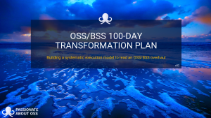 100 Day OSS/BSS Transformation Plan
