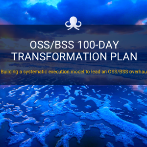 100 Day OSS/BSS Transformation Plan